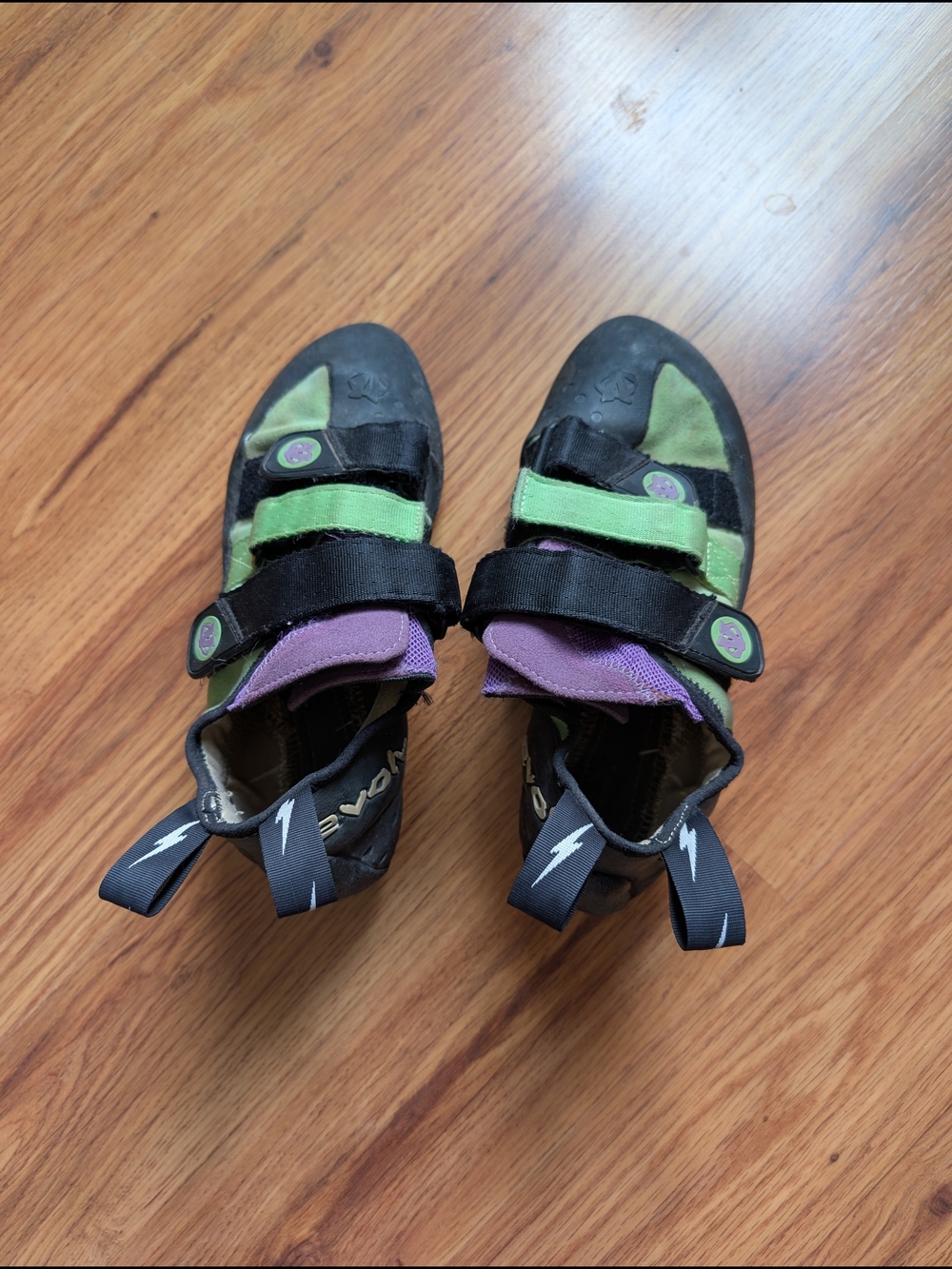 Evolv Women's Climbing Shoes